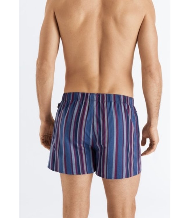Fancy Woven Boxer Fading Blue Stripe (074013)