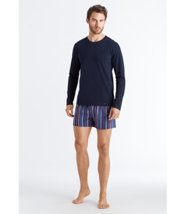 Fancy Woven Boxer Fading Blue Stripe (074013)