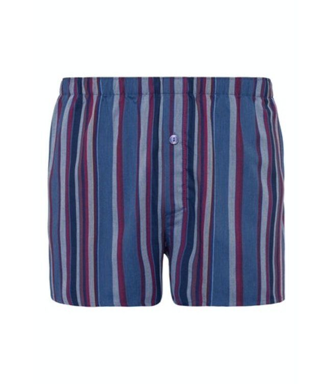 Fancy Woven Boxer Fading Blue Stripe (074013)