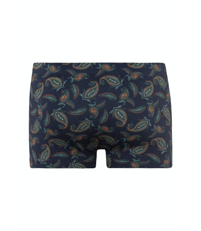 Elias Pants Floral Paisley Print  (074038)