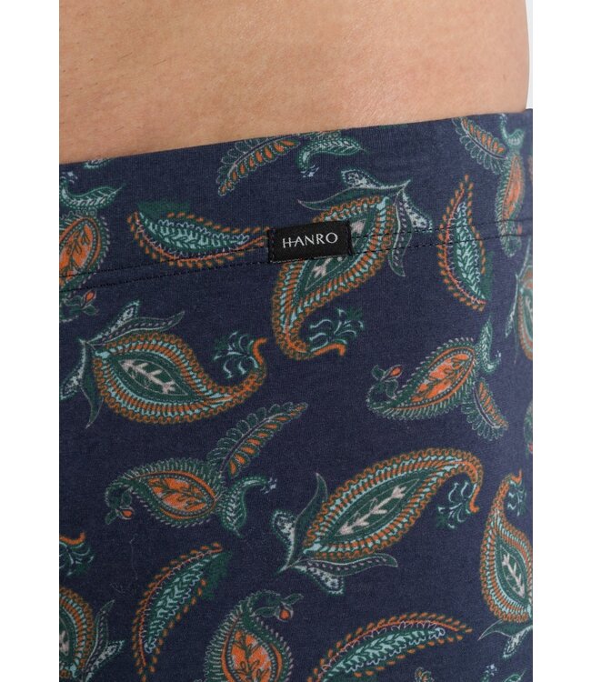 Elias Pants Floral Paisley Print  (074038)