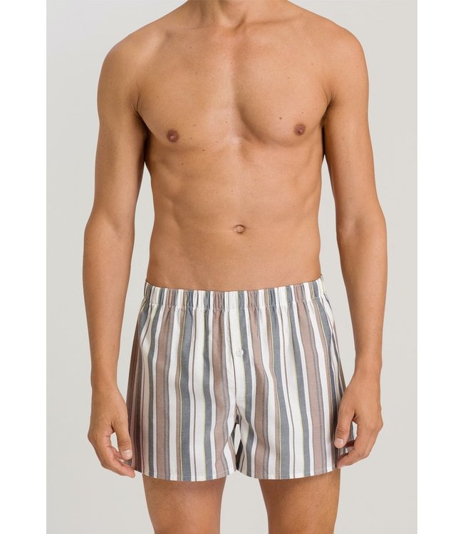 Fancy Woven Boxer Sun Faded Stripe (SALE)