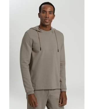 Natural Living Hood Shirt Silver Sand