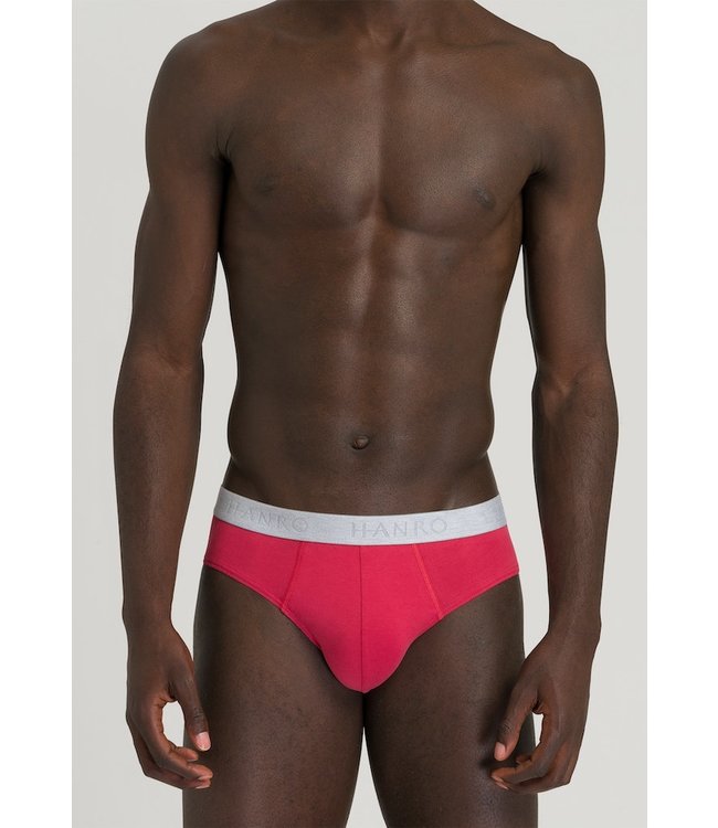 Cotton Essentials Briefs 2-Pack Deep Amaranth/Mercury (073075)