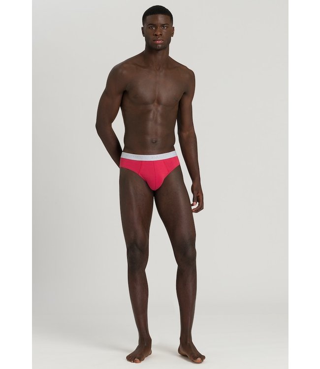 Cotton Essentials Briefs 2-Pack Deep Amaranth/Mercury (073075)