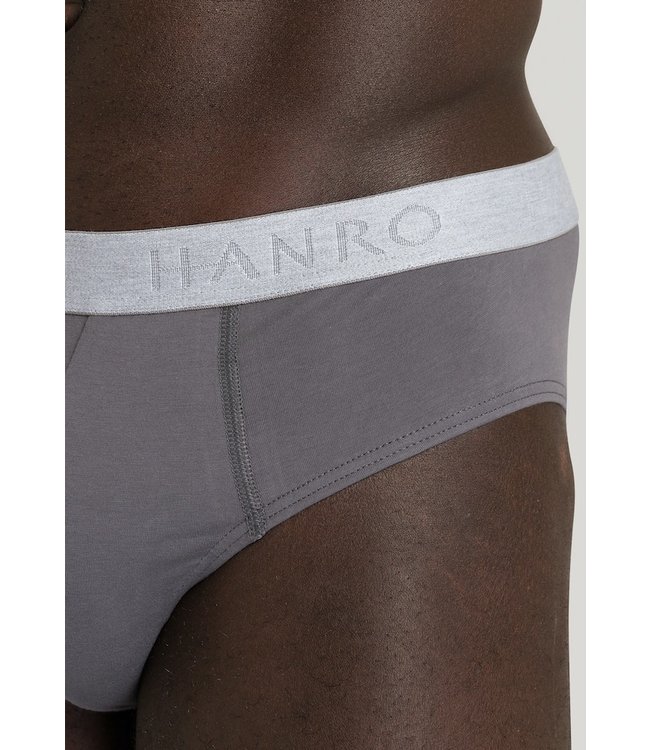 Cotton Essentials Briefs 2-Pack Deep Amaranth/Mercury (073075)