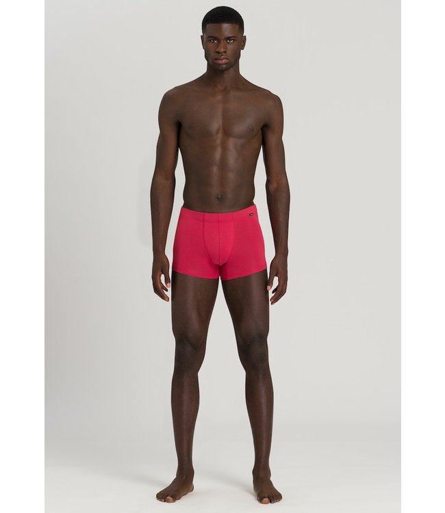 Cotton Essentials Pants 2-Pack Amaranth/Mercury (073079)