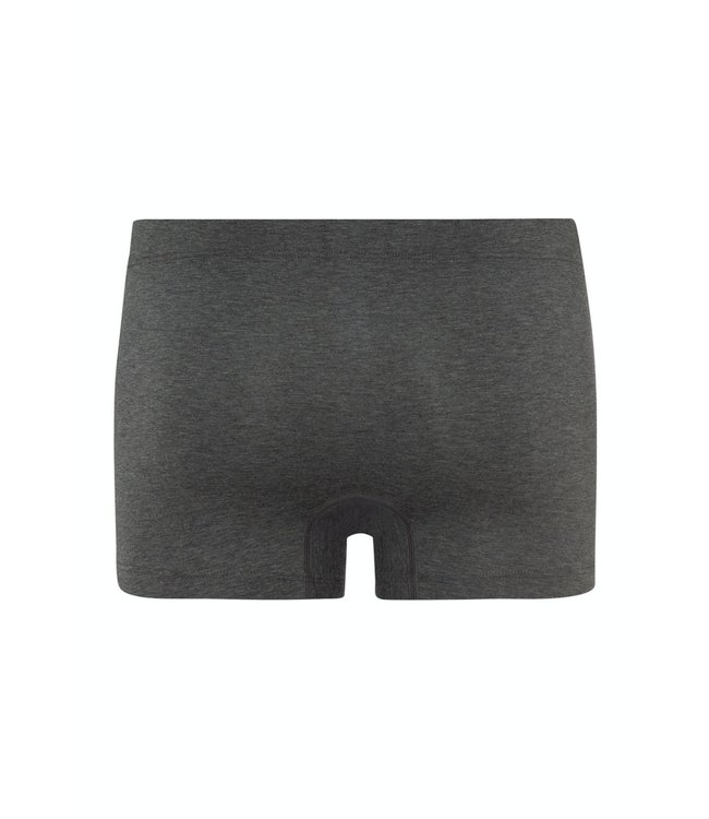 Cotton Essentials Pants 2-Pack Coal Melange (073079)