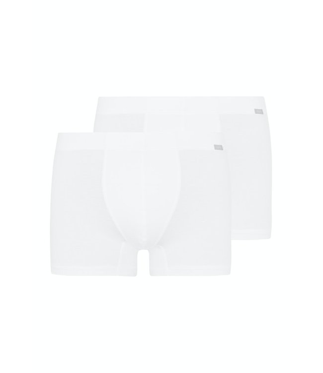 Hanro Cotton Essentials Pants 2-Pack White (073079)