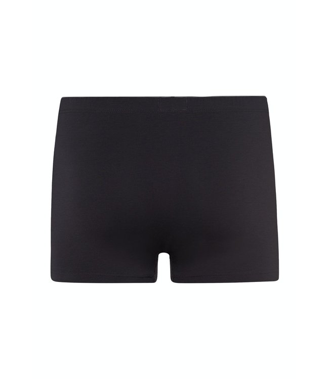 Cotton Superior Pant Coal Grey (073086)