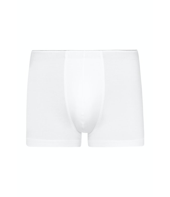 Hanro Cotton Superior Pant White (073086)