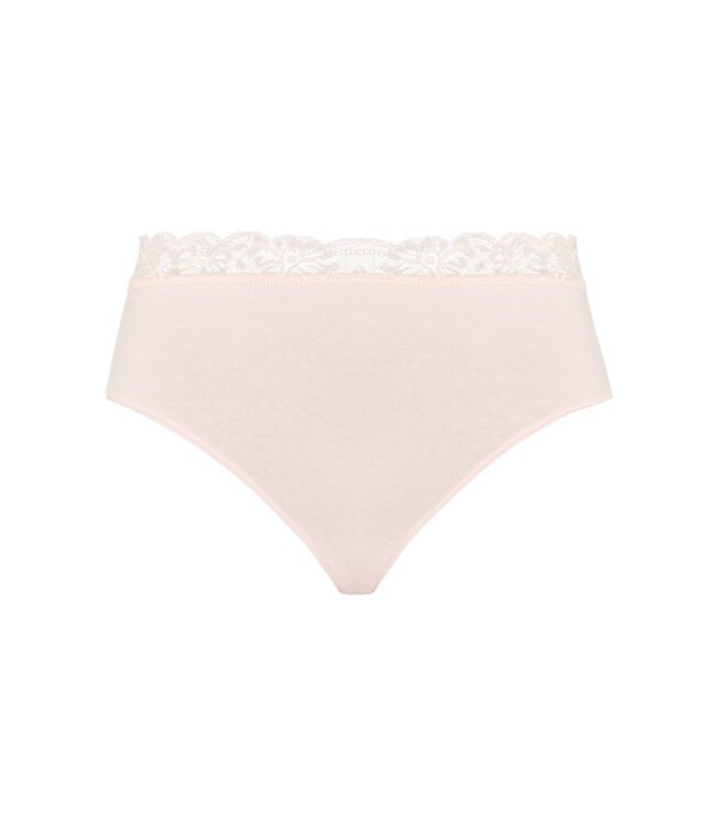 Hanro Cotton Lace Maxi Brief Powder (072436)