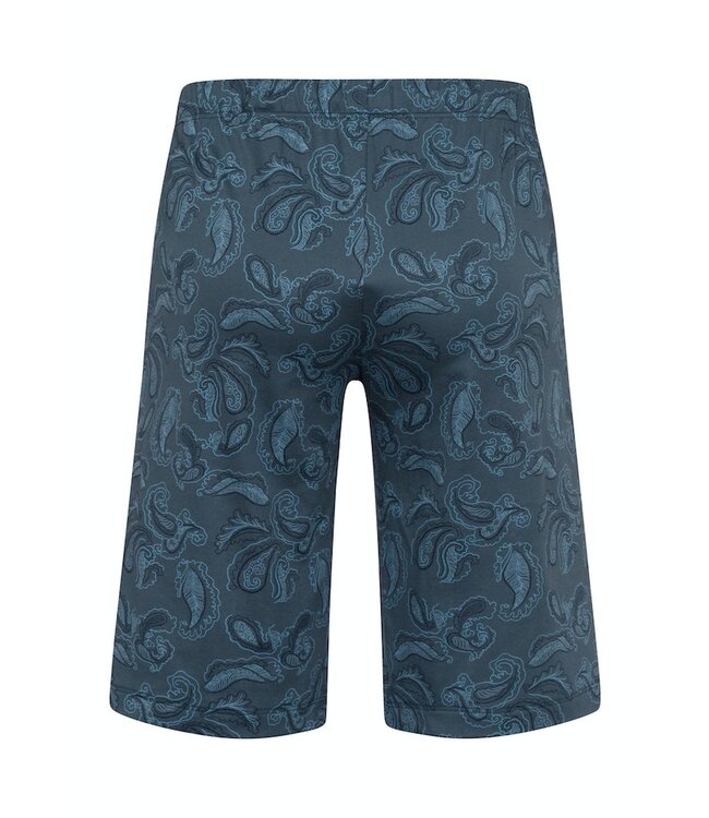 Hanro Night & Day Short Pants Aqua Paisley (075513)