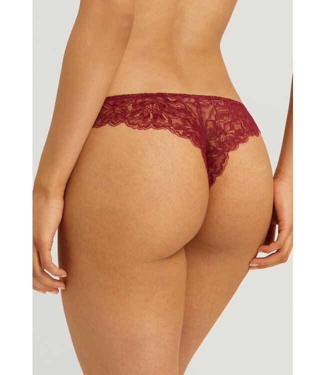 Hanro Solene Thong Secret Berry (070957)