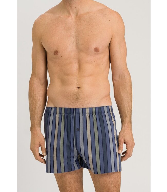 Fancy Woven Boxer Everblue Stripe