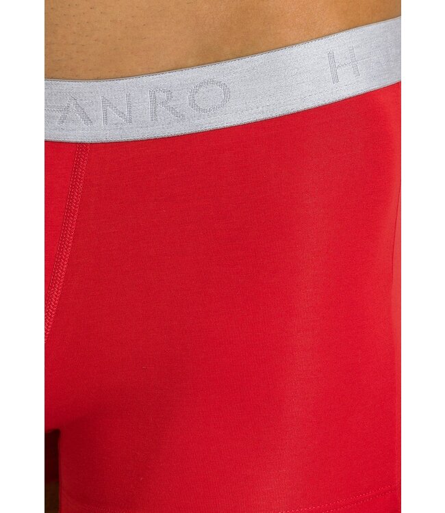 Hanro Cotton Essentials Pants 2-Pack Deep Navy/Bright Red (073078)