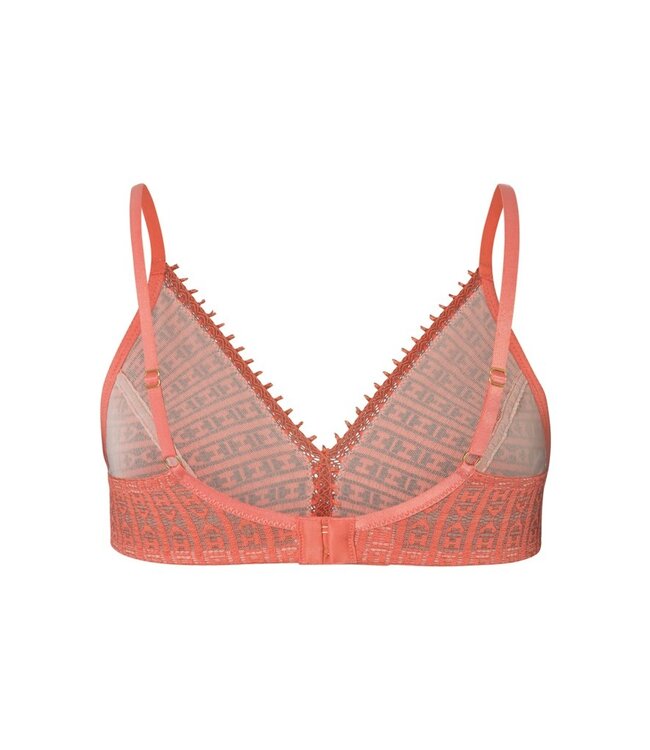 Hanro Hedy Soft Cup Bra Apricot Brandy (070939)