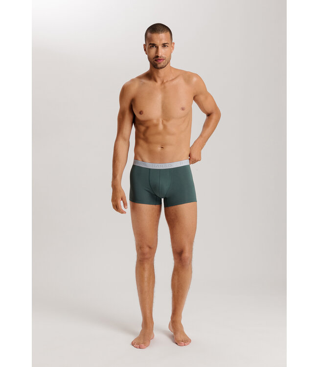 Hanro Cotton Essentials Pants 2-Pack Herbal Tea/Vintage Indigo (073078)