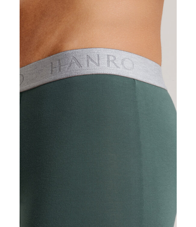 Hanro Cotton Essentials Pants 2-Pack Herbal Tea/Vintage Indigo (073078)