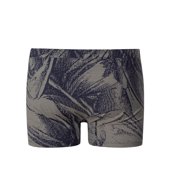 Hanro Fancy Micro Shortleg Pant Striped Palm Print (073125)