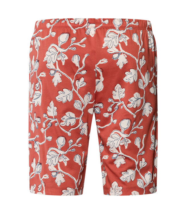 Hanro Night & Day Short Pants Mediterranean Botanics (075822)