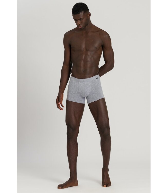 Hanro Cotton Essentials Pants 2-Pack Light Melange | Deep Navy (073079)