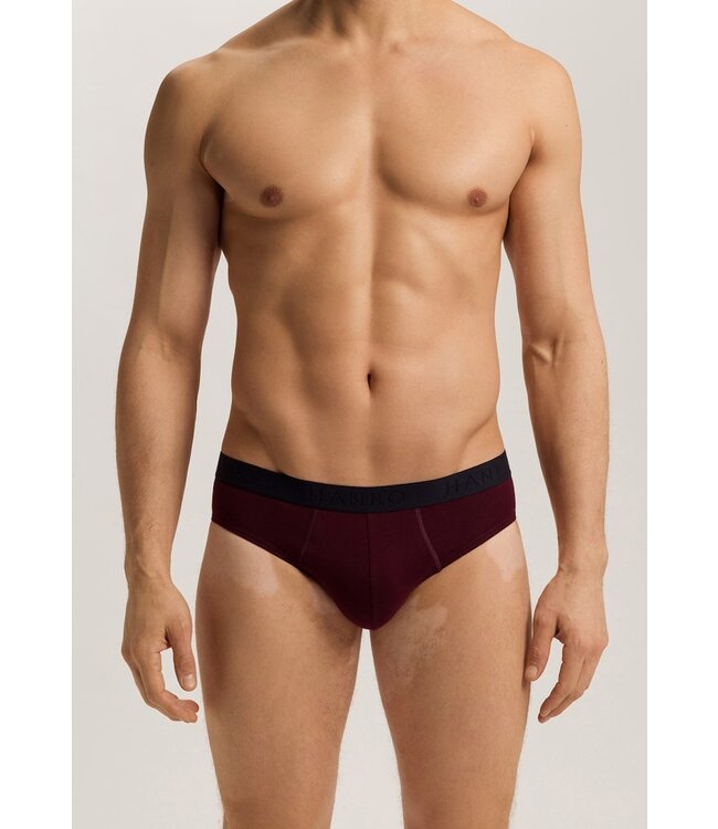 Hanro Cotton Essentials Briefs 2-Pack Barolo/Ombre Blue (073075)