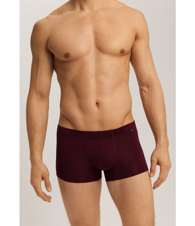 Hanro Cotton Essentials Pants 2-Pack Barolo/Ombre Blue (073079)