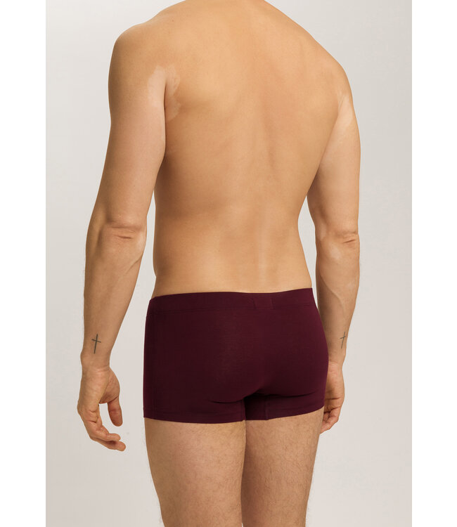 Hanro Cotton Essentials Pants 2-Pack Barolo/Ombre Blue (073079)