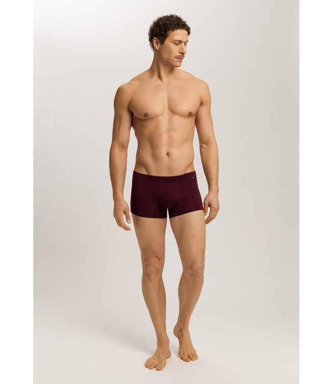 Hanro Cotton Essentials Pants 2-Pack Barolo/Ombre Blue (073079)