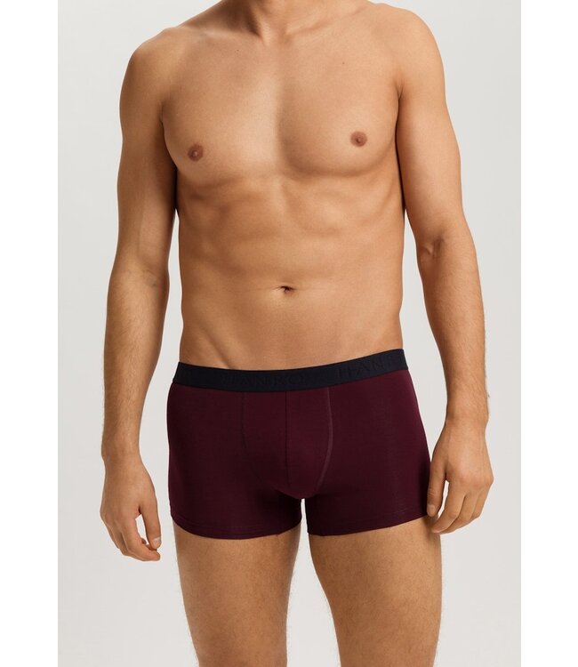 Hanro Cotton Essentials Pants 2-Pack Barolo | Ombre Blue (073078)