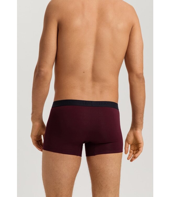 Hanro Cotton Essentials Pants 2-Pack Barolo | Ombre Blue (073078)