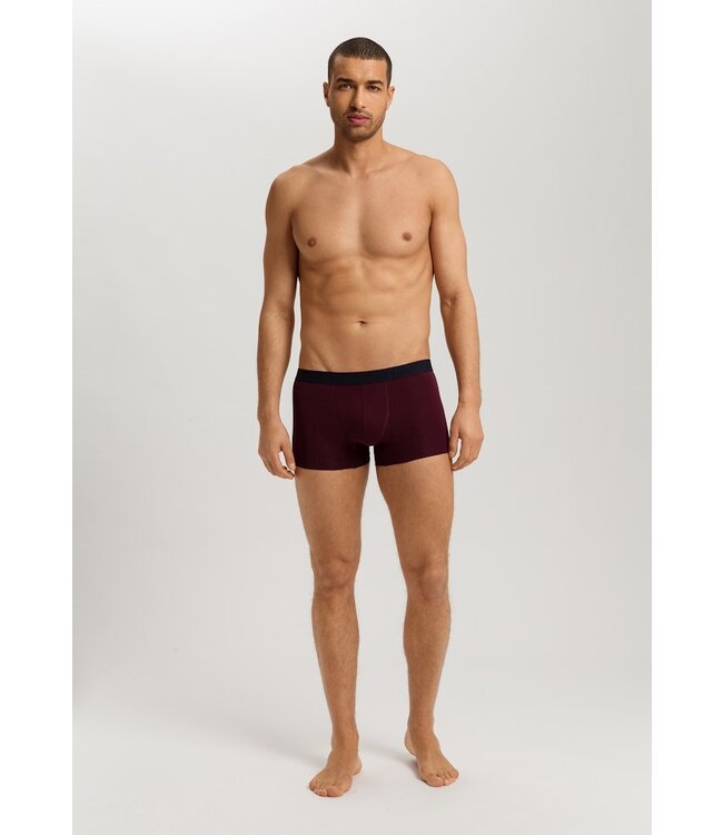 Hanro Cotton Essentials Pants 2-Pack Barolo | Ombre Blue (073078)