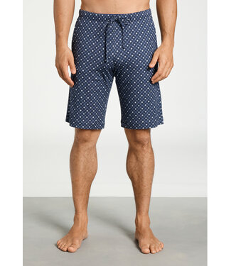 Hanro Night & Day Short Pants Squared Harmony (NEW TREND)