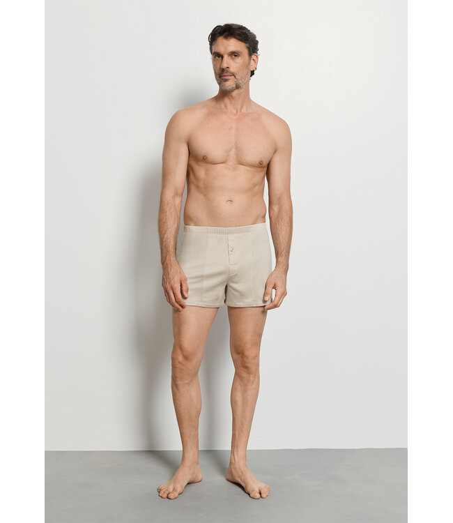 Hanro Cotton Sporty Boxer Moon (073505)