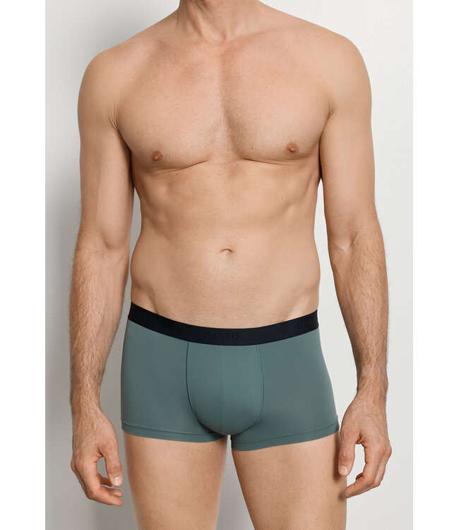 Hanro Micro Touch Pants Studio Green (SALE)