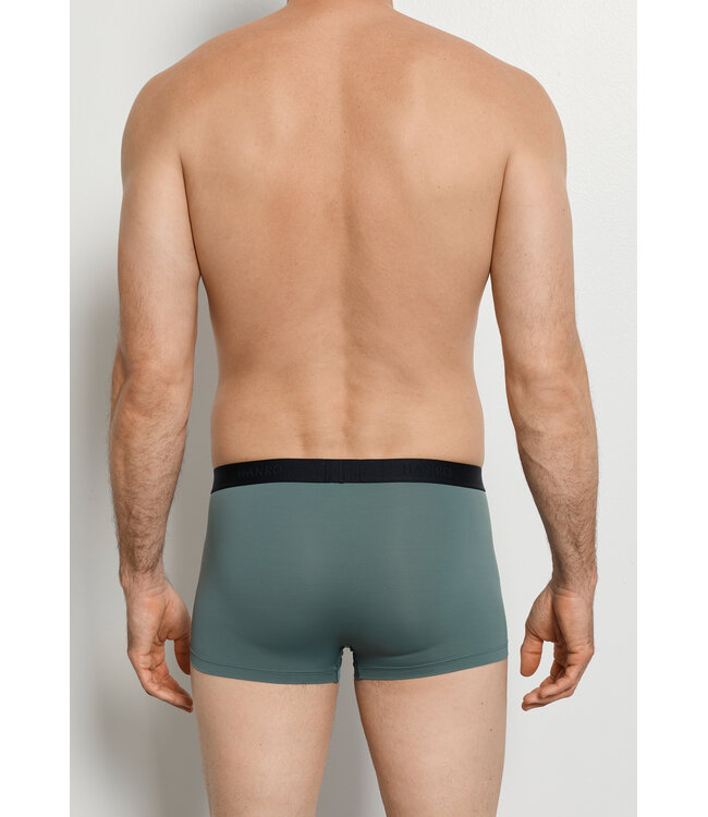 Hanro Micro Touch Pants Studio Green (073107)