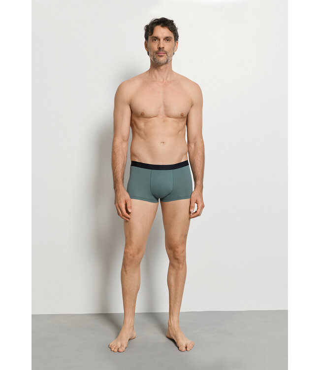 Hanro Micro Touch Pants Studio Green (073107)