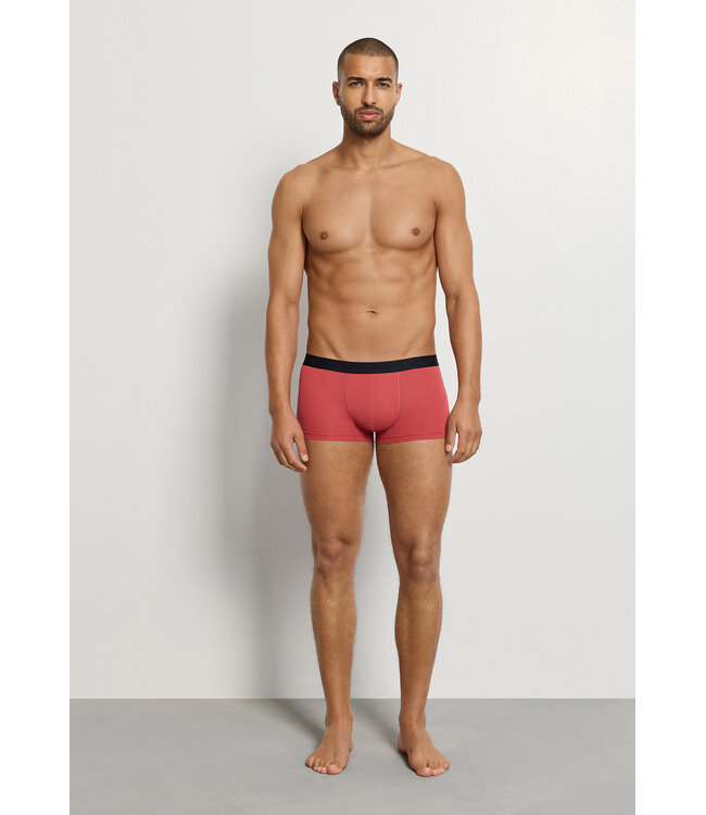 Hanro Micro Touch Pants Garnet Rose (073107)