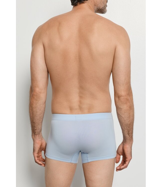 Hanro Cotton Essentials Pants 2-Pack Blue Lagoon | Deep Navy (073079)