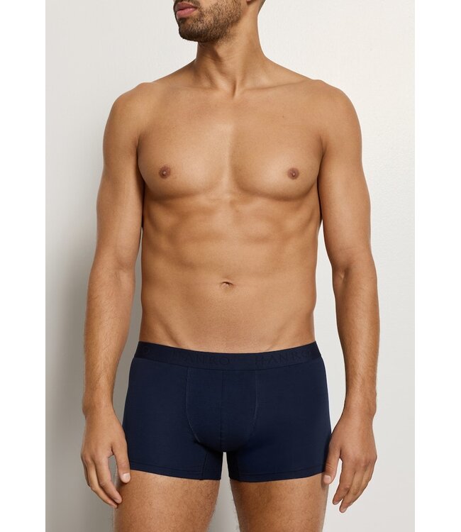 Hanro Cotton Essentials Pants 2-Pack Blue Lagoon | Deep Navy (073078)