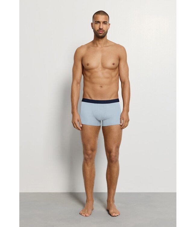 Hanro Cotton Essentials Pants 2-Pack Blue Lagoon | Deep Navy (073078)