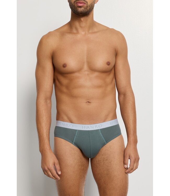Hanro Cotton Essentials Briefs 2-Pack Studio Green / Retro Blue (073075)