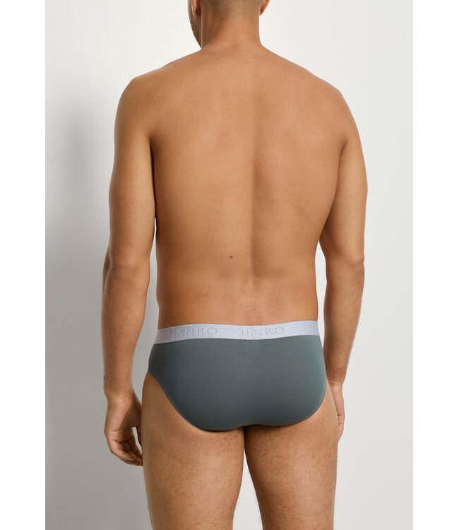 Hanro Cotton Essentials Briefs 2-Pack Studio Green / Retro Blue (073075)