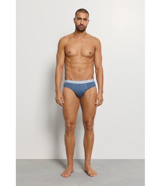 Hanro Cotton Essentials Briefs 2-Pack Studio Green / Retro Blue (073075)