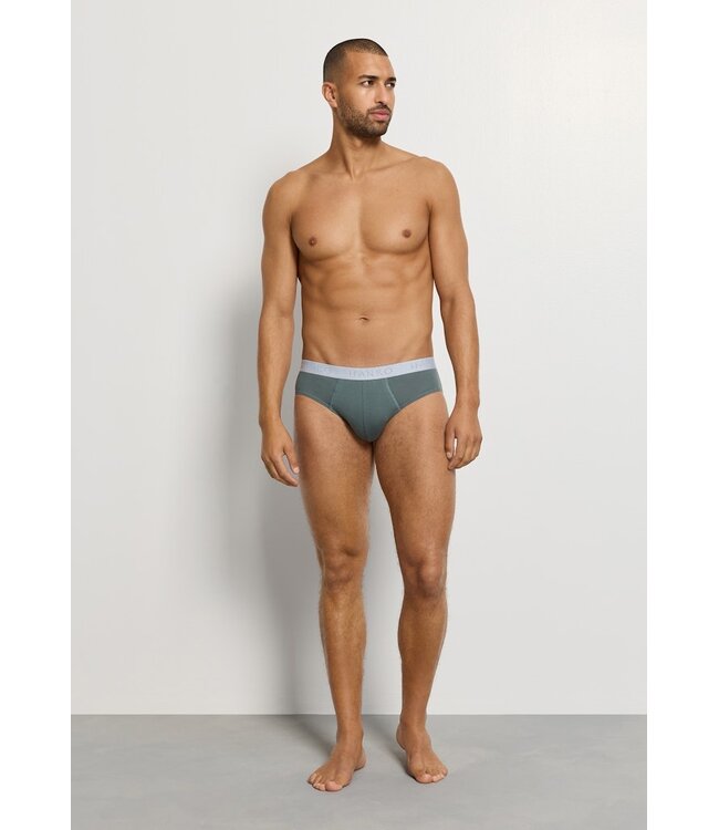 Hanro Cotton Essentials Briefs 2-Pack Studio Green / Retro Blue (073075)