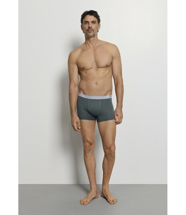 Hanro Cotton Essentials Pants 2-Pack Studio Green | Retro Blue (073078)