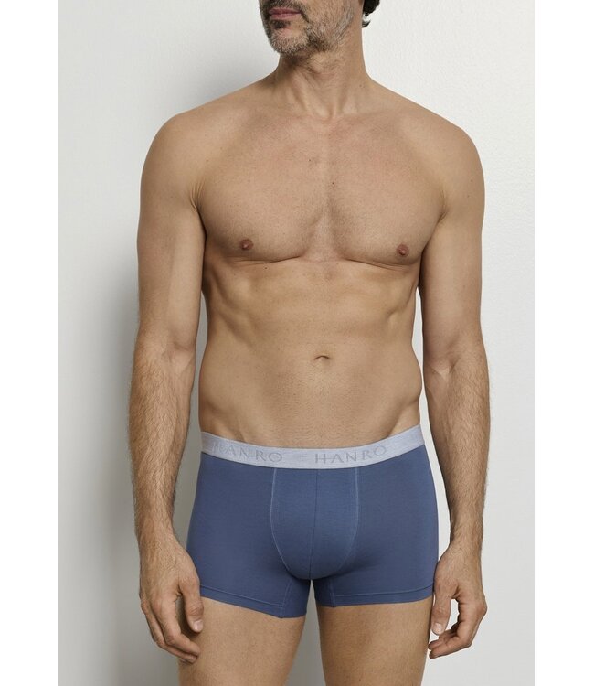 Hanro Cotton Essentials Pants 2-Pack Studio Green | Retro Blue (073078)