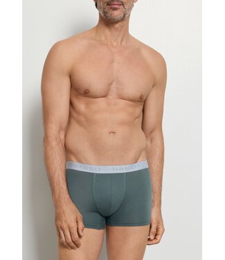 Hanro Cotton Essentials Pants 2-Pack Studio Green | Retro Blue (NEW TREND)