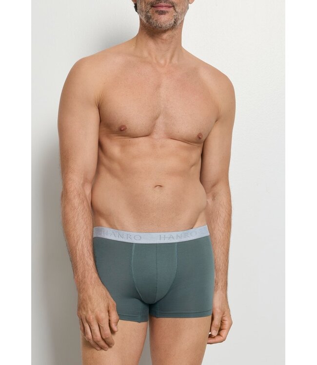 Hanro Cotton Essentials Pants 2-Pack Studio Green | Retro Blue (073078)